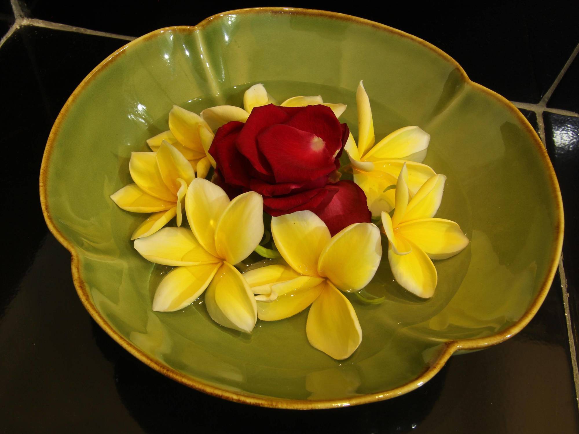 Couette-café Frangipani Nusa Dua (Bali)