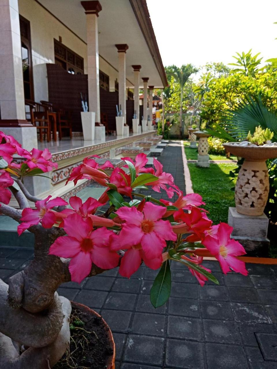 Couette-café Frangipani Nusa Dua (Bali)